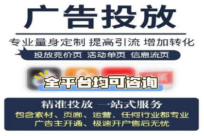 Sem优化公司案例：精准广告投放策略解析